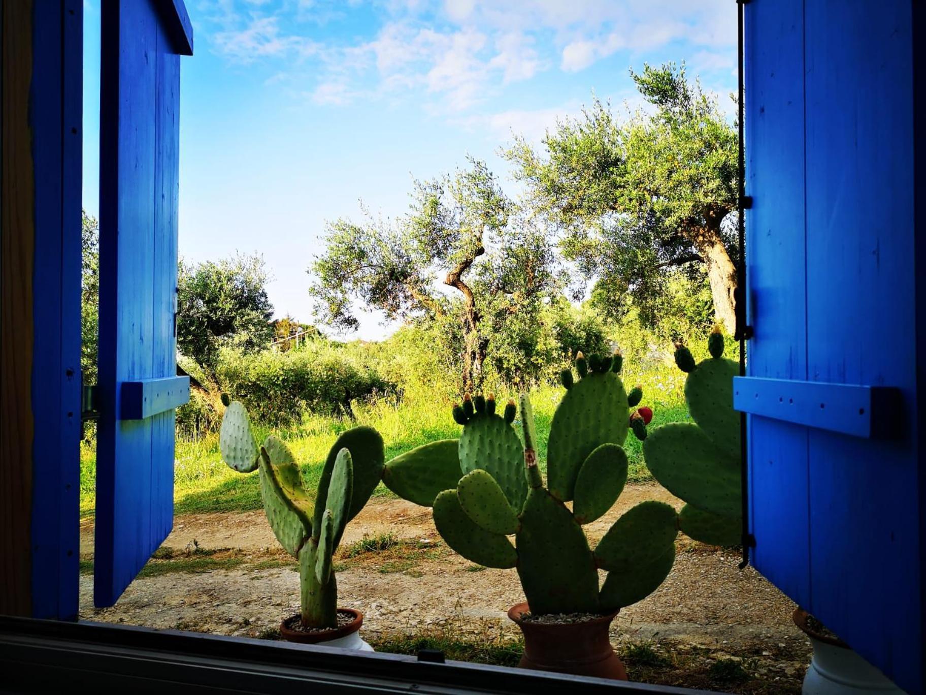 La Collina Sui Trabocchi Guest House Ortona Exterior photo